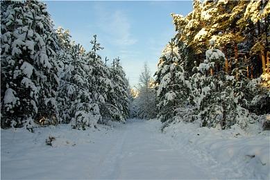 今晚锁定KK官方对战平台直播间！Sky畅聊war3发展，福利拿不停！